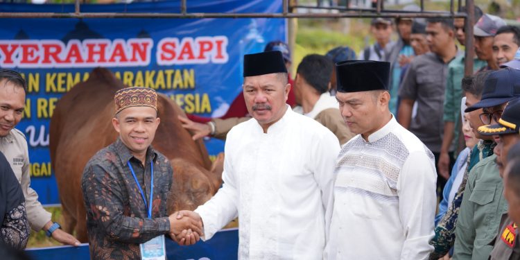 Bupati Monadi Serahkan Bantuan Sapi Kurban dari Presiden Prabowo Subianto di Desa Sungai Gelampeh, Pastikan Pembagian Tepat Sasaran